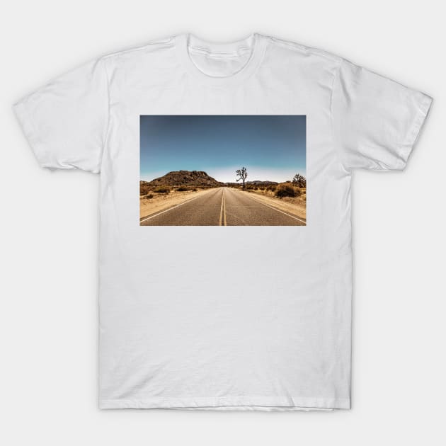 Joshua Tree National Park, California T-Shirt by Gestalt Imagery